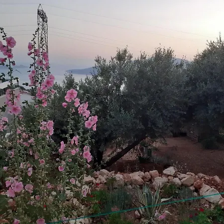 Charming Nature With Views Of Sea And Islands *