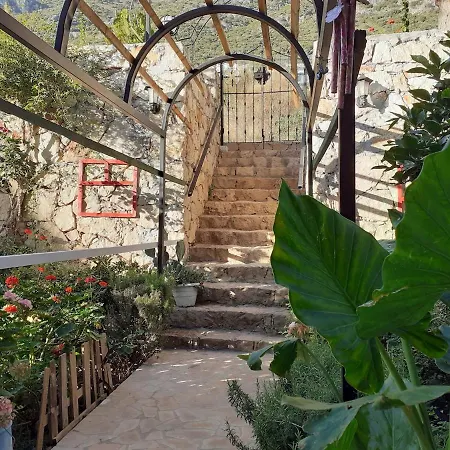 Charming Nature With Views Of Sea And Islands Kaş